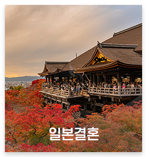 본가국제결혼정보_메인중간_